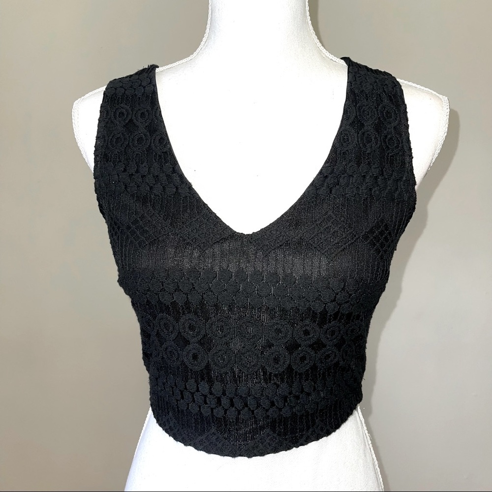 Paper Crane Black Crop Embroidered Lace Top Size M